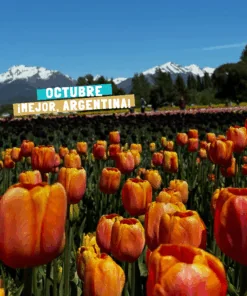 Viaje a Bariloche y Esquel en Octubre 2025