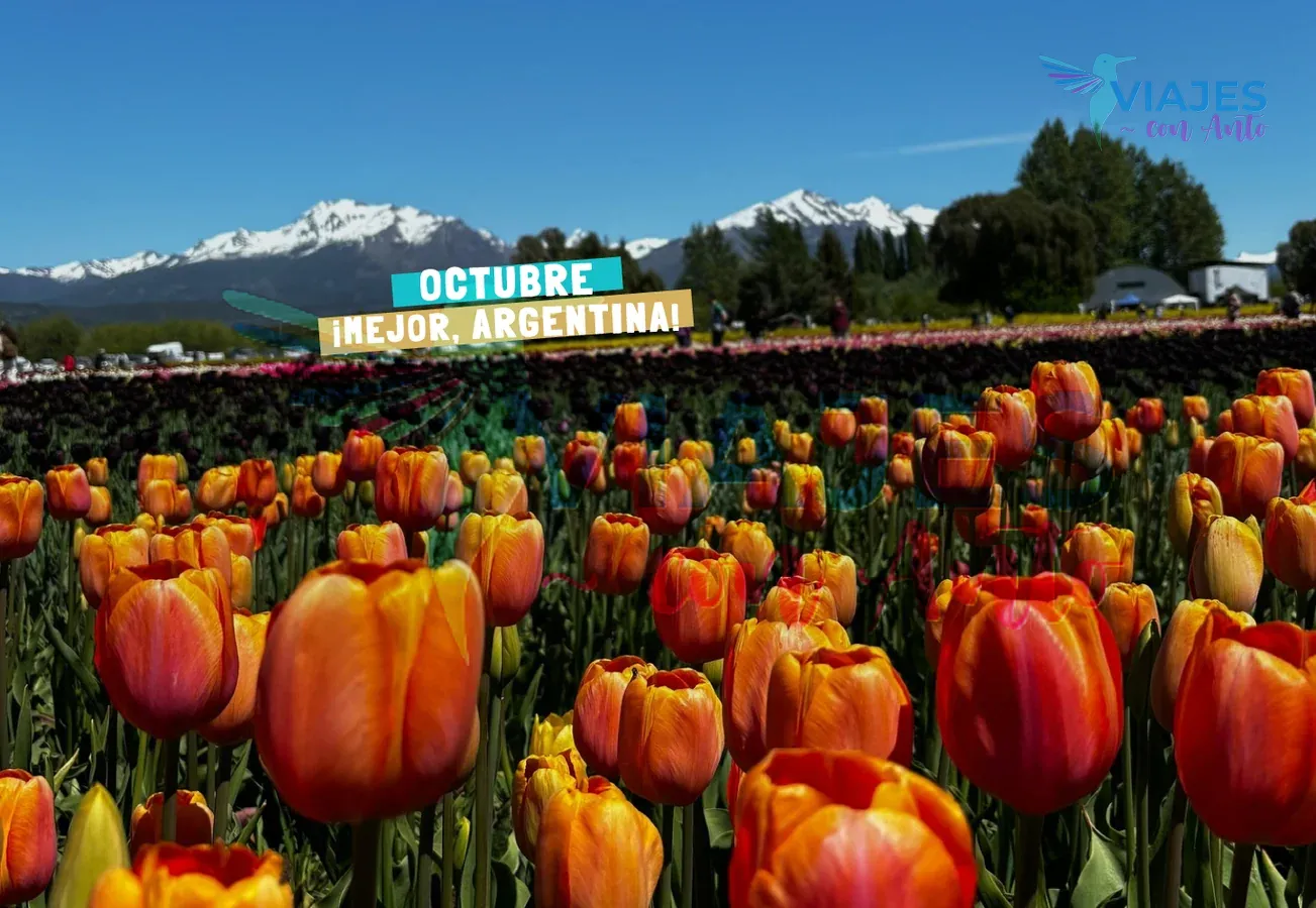 bariloche-esquel-octubre-2025-0