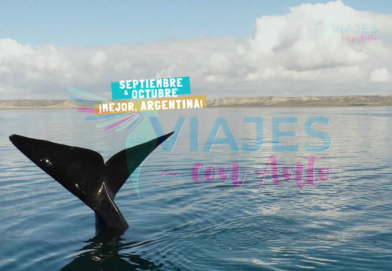 puerto-madryn-septiembre-octubre-0
