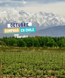 MENDOZA + VIÑA DEL MAR – OCTUBRE | NOVIEMBRE