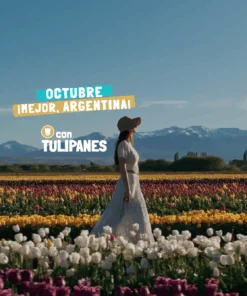 BARILOCHE CON TULIPANES – OCTUBRE 2025