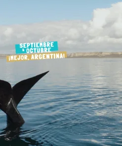 PUERTO MADRYN – SEPTIEMBRE | OCTUBRE | NOVIEMBRE