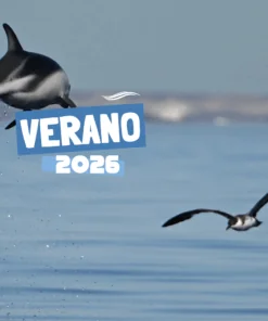 PUERTO MADRYN – VERANO 2026