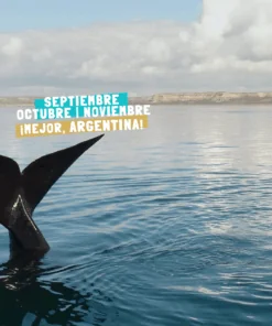 PUERTO MADRYN – OCTUBRE | NOVIEMBRE