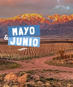 MENDOZA + SAN RAFAEL – MAYO | JUNIO