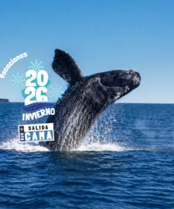 PUERTO MADRYN – JULIO