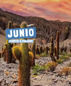NORTE GRANDE – JUNIO 2026