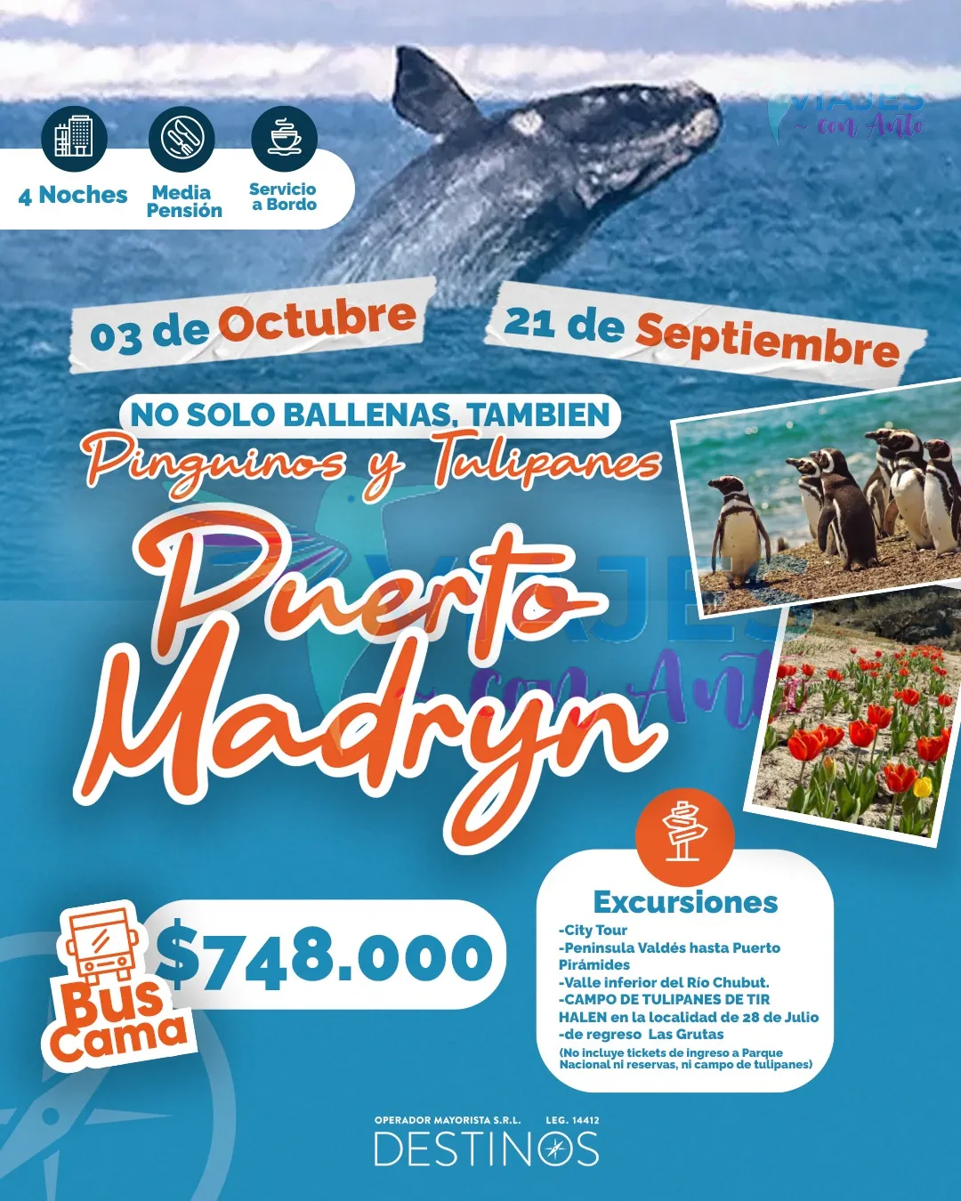 Puerto Madryn - Pingüinos y Tulipanes