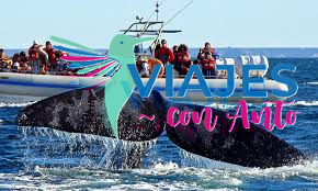 Viaje a Puerto Madryn